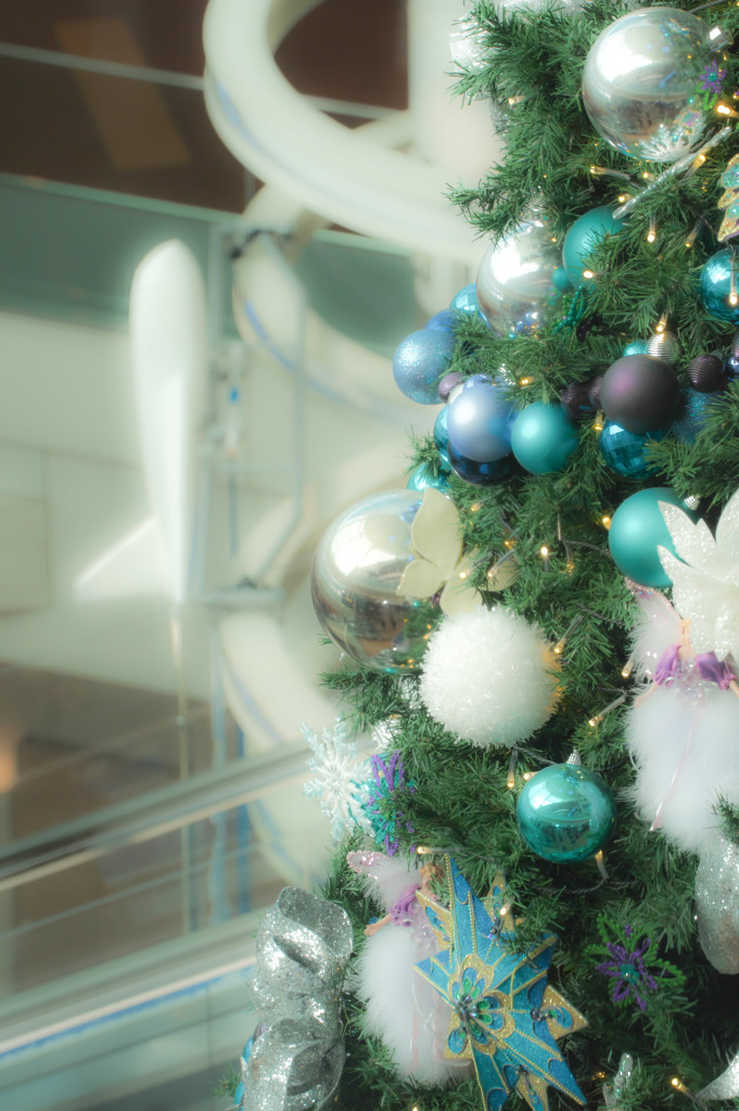 Christmasまであと少し