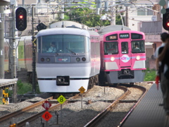 奴が来た!!