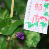 明日が楽しみ