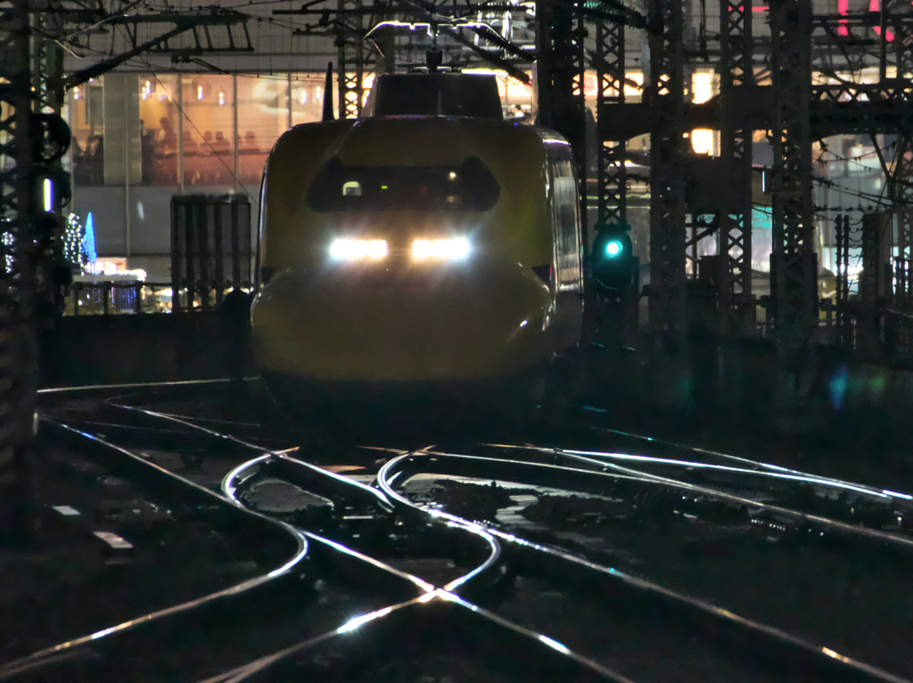 来たよ