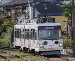 にゃん？