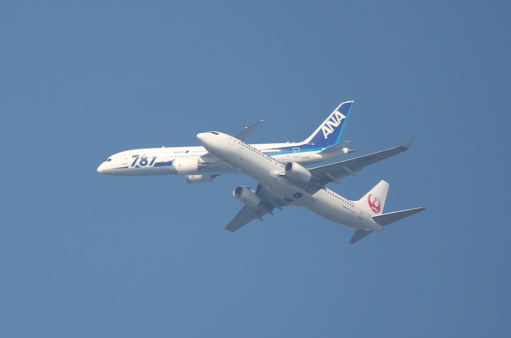 日本の翼
