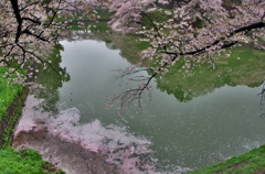 雨上がりの淵