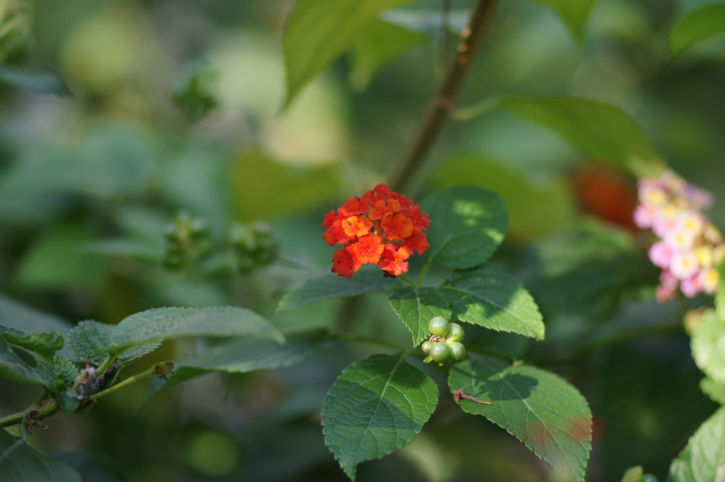 DSC00160