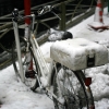 笹塚交番の自転車-2008年02月03日-