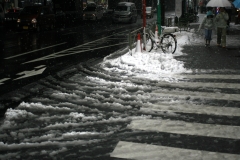 東京に雪が降る-2008月02月03日-
