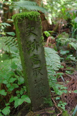 K7GP2241