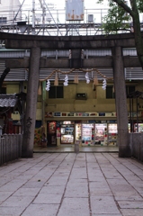 K7GP0463