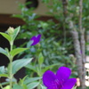 K7GP2609