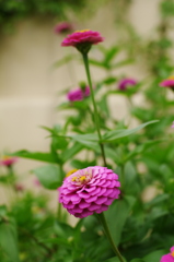 K7GP2987