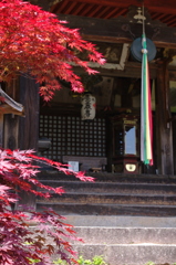 K7GP1478