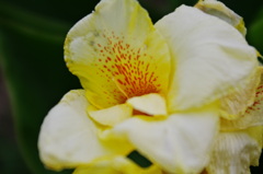 K7GP2390