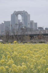 K7GP0789