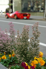 IMGP4025