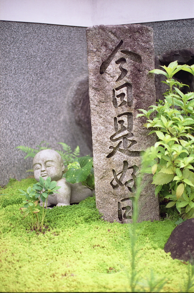 MZ2009072913