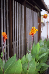 MZ2009072920