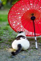 傘と…猫の箸置きかな？