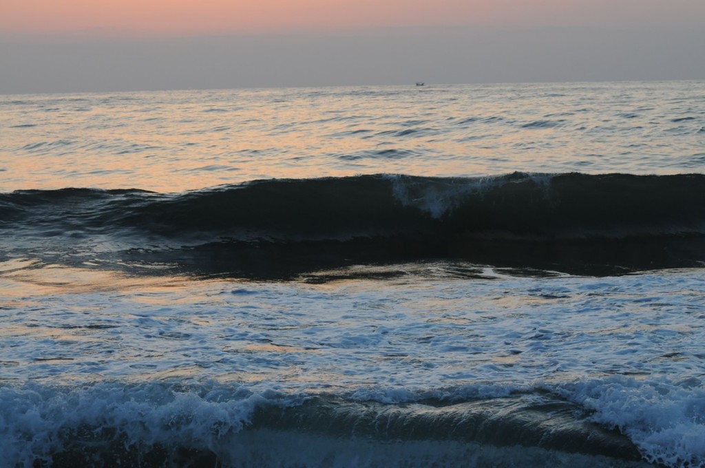 海