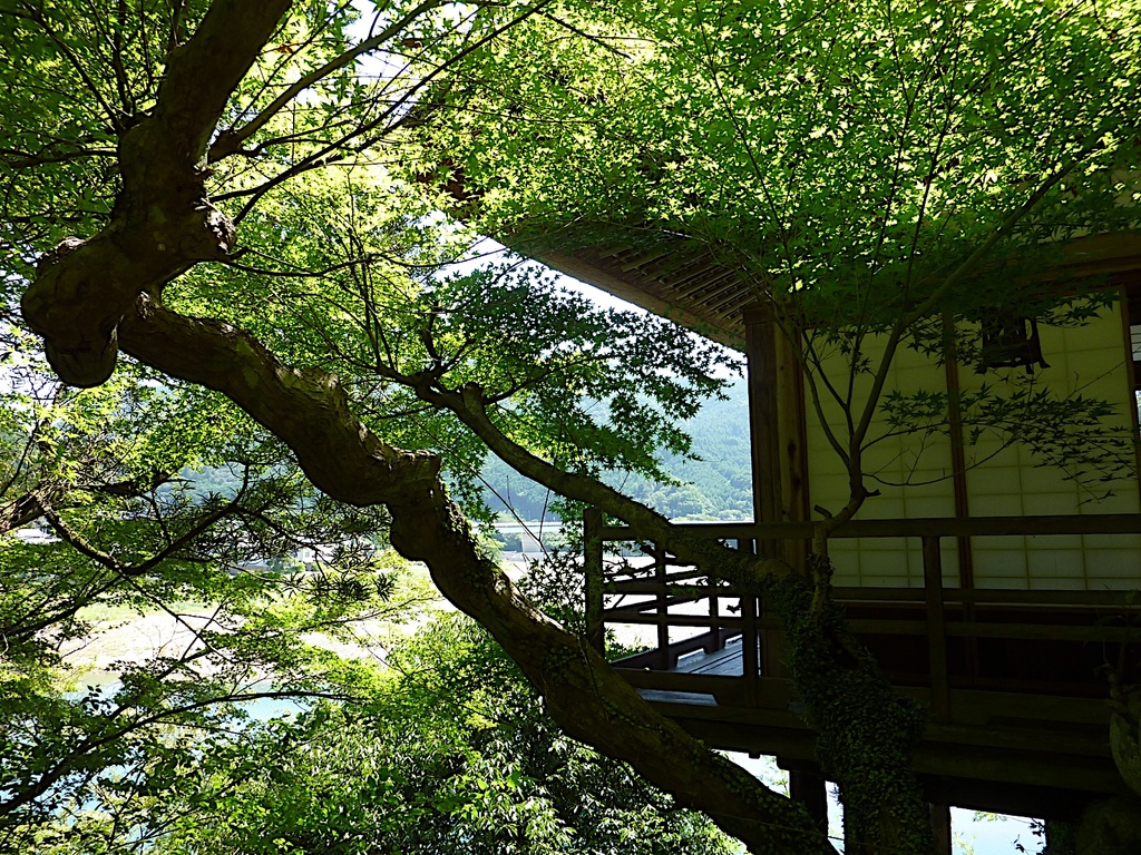臥龍山荘09