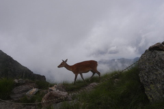 奥白根山にて