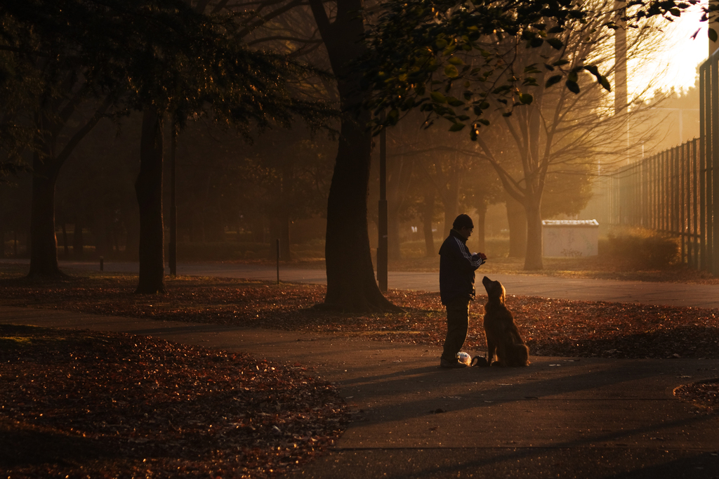 677朝のひととき