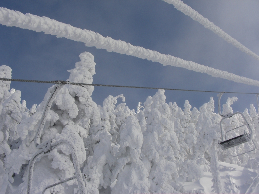 吹雪の後の風景