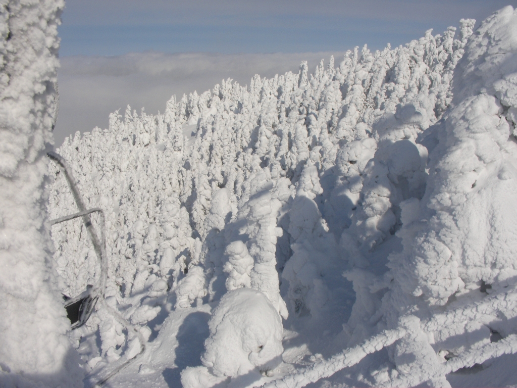 吹雪の後の風景