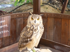 花鳥園