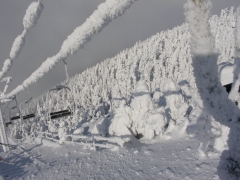 吹雪の後の風景