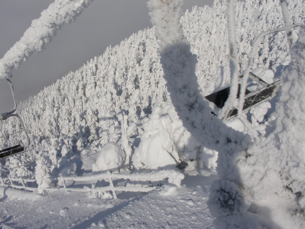 吹雪の後の風景