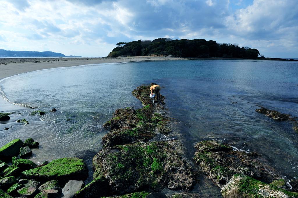 潮干狩り　　　なわけない。