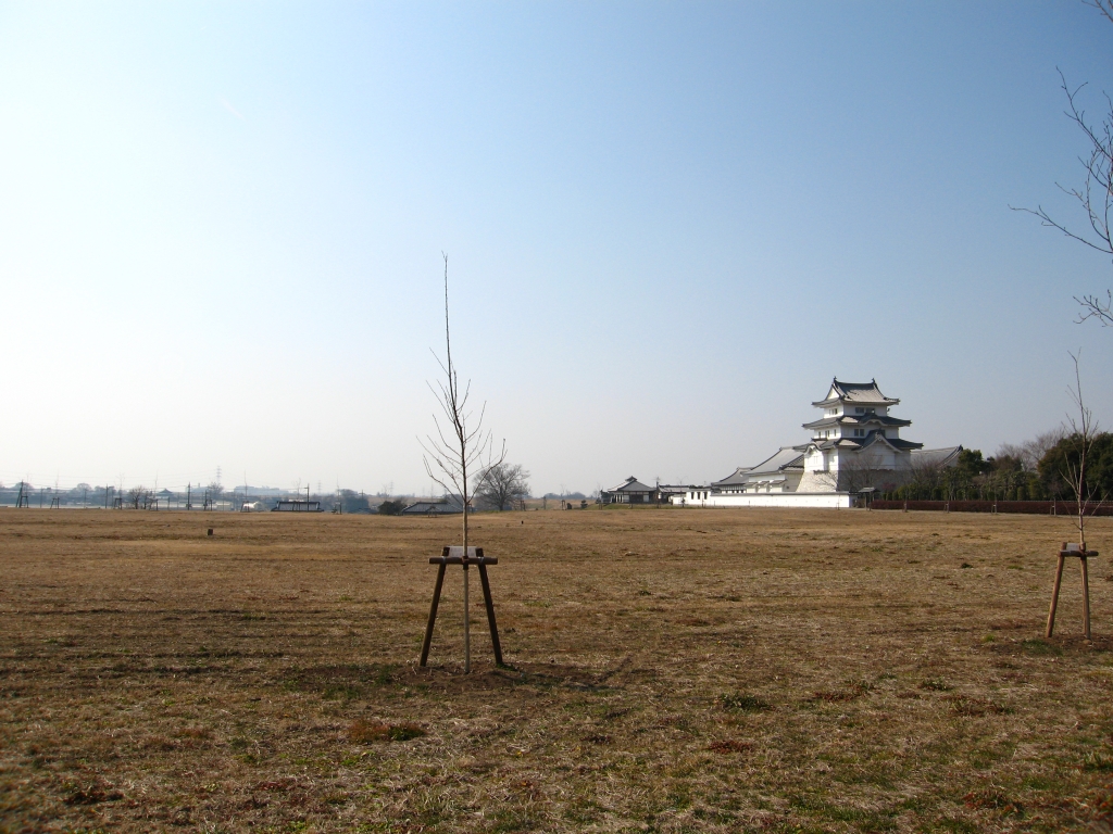 関宿 冬