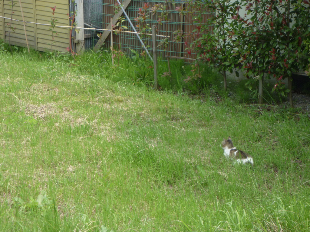 狙ってます