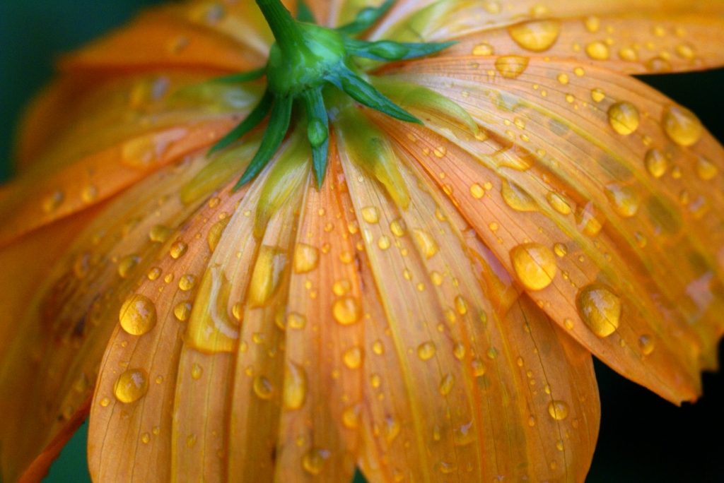 雨上がり