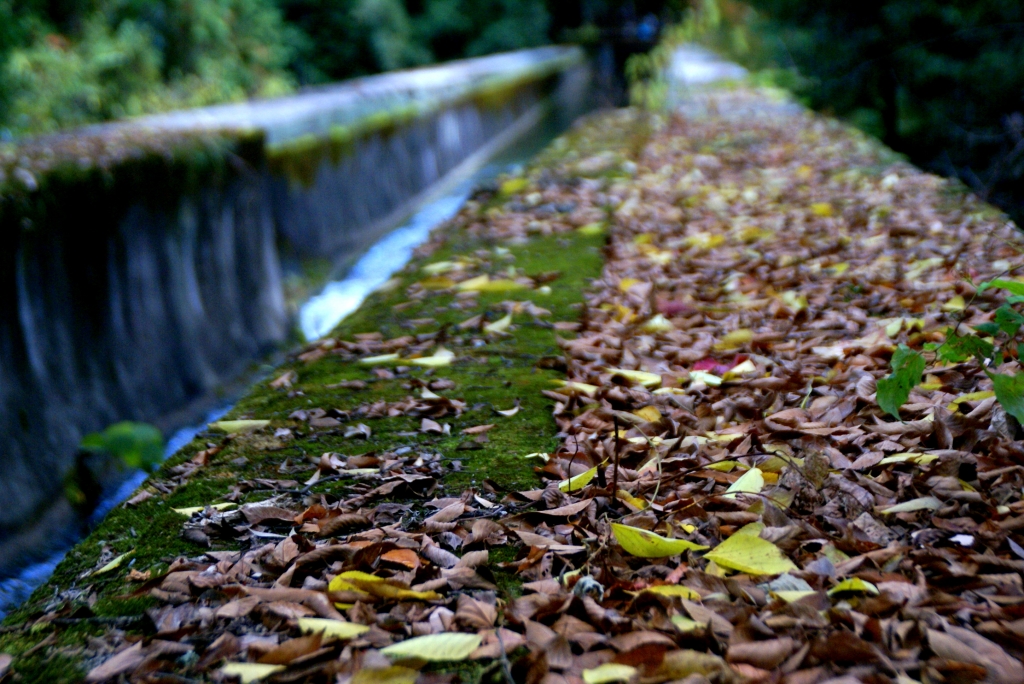 南禅寺の水路