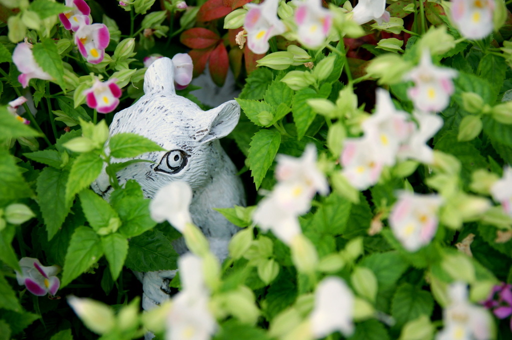 Hide and go seek! 1 