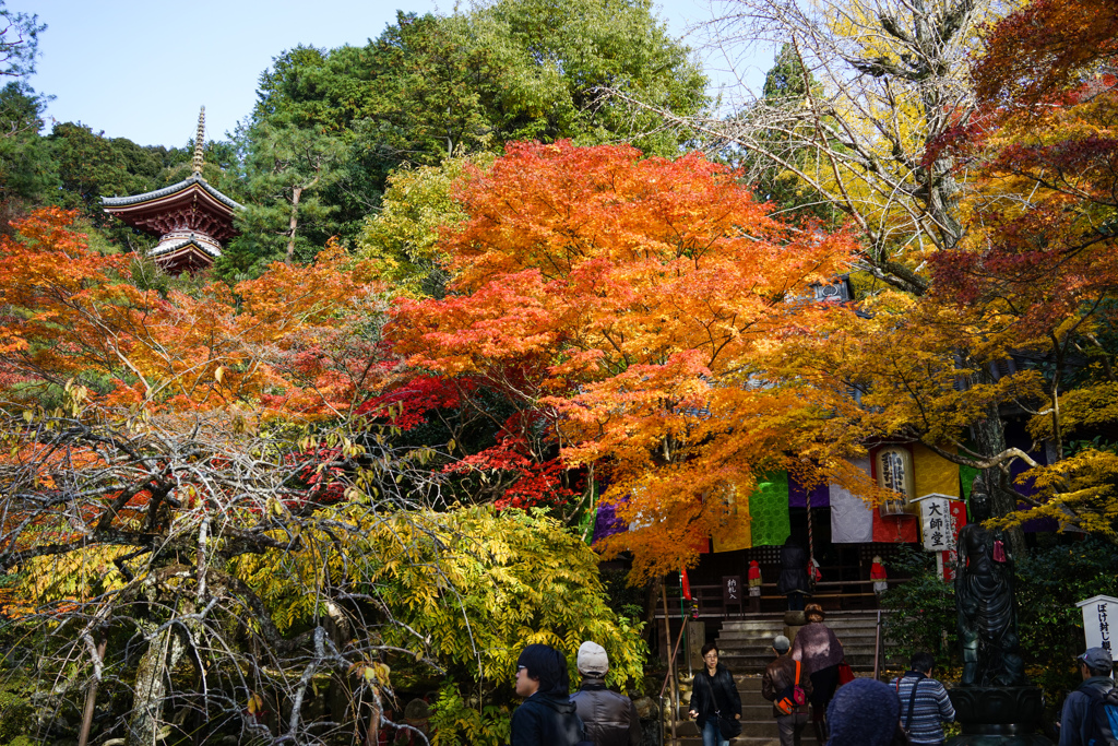 京都 泉涌寺1