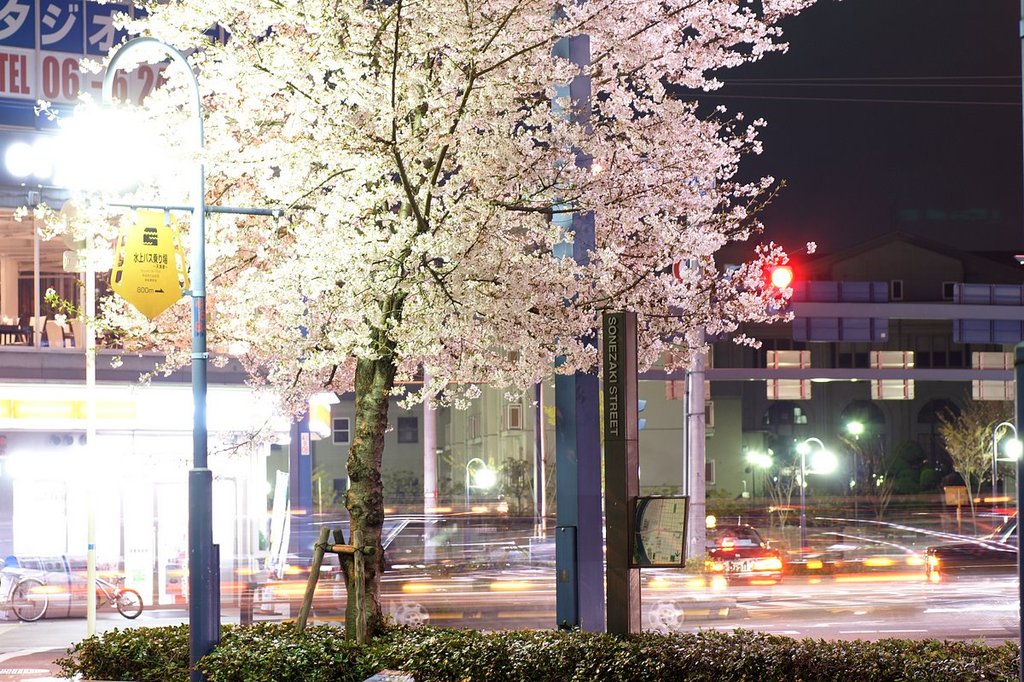 SONEZAKI STREET