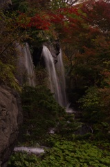 熱海梅園 紅葉と滝