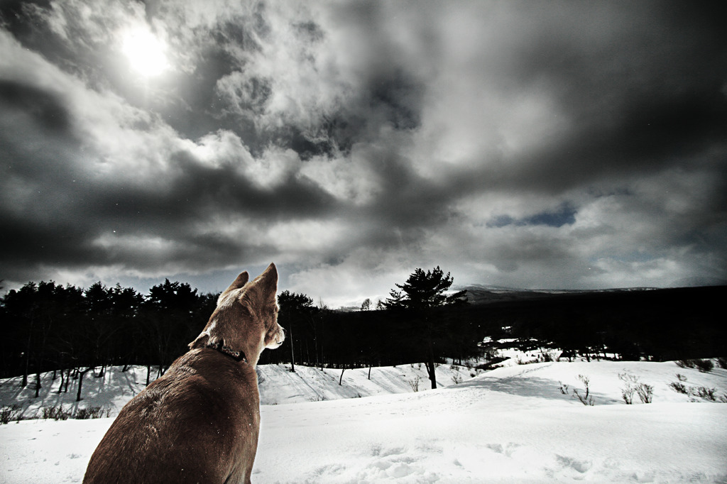 On the hill