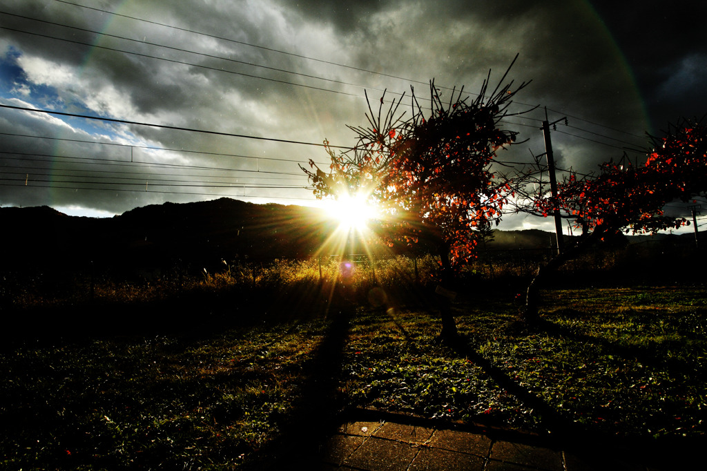 Sunshower