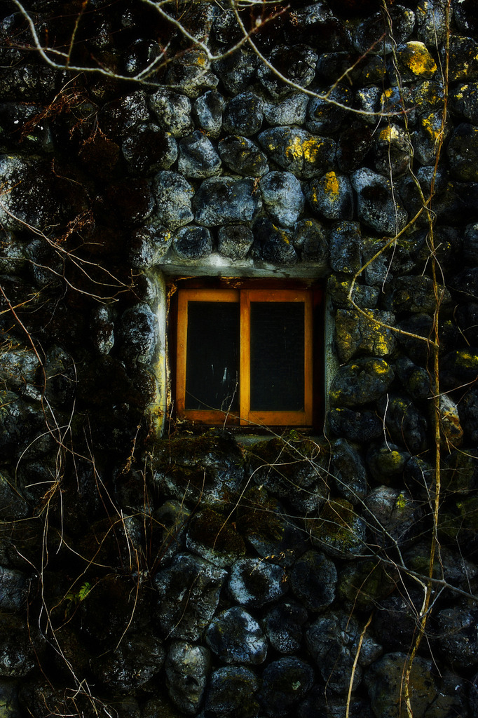 Window