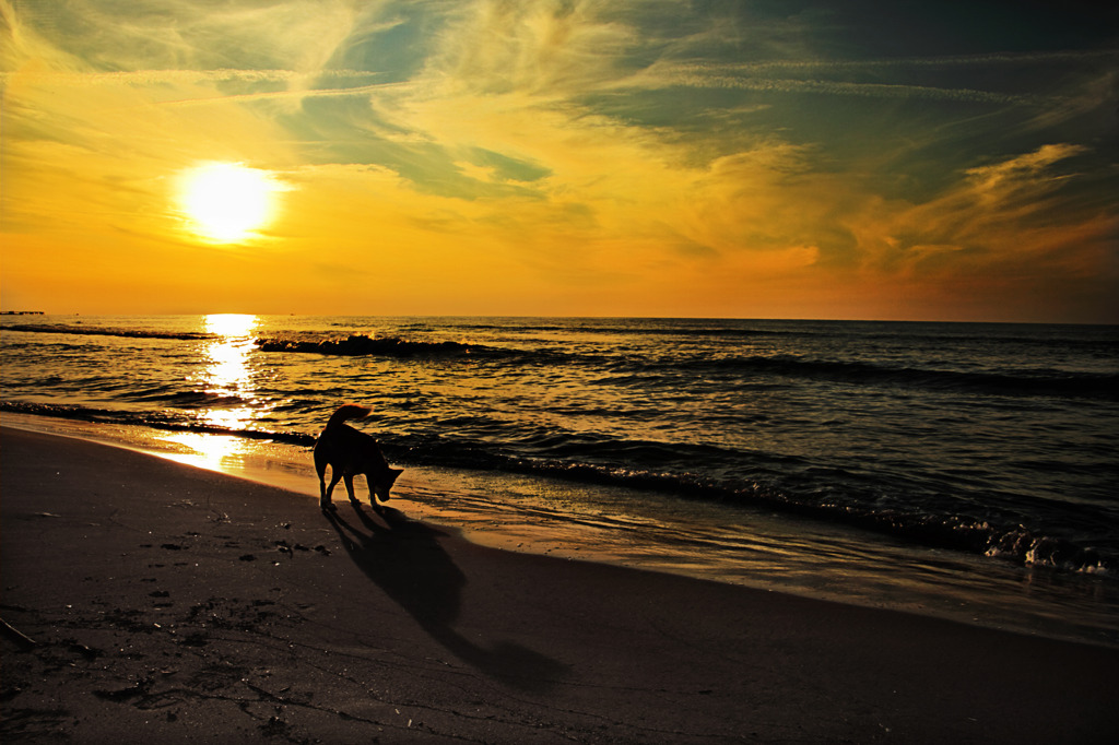 Silhouette on the beach