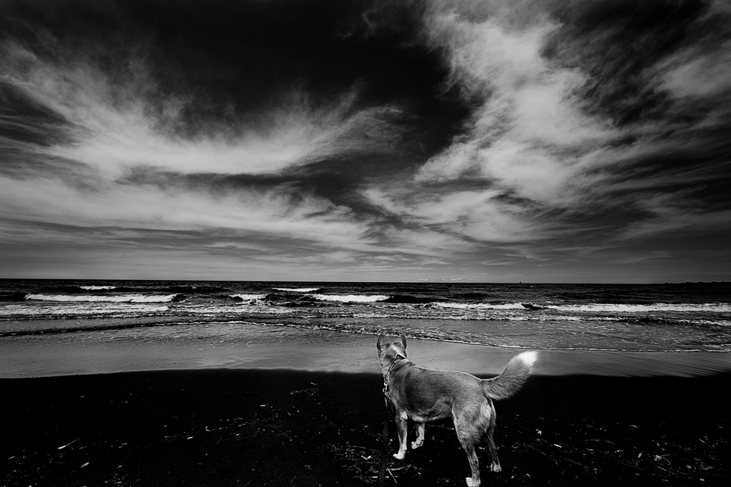 on the beach