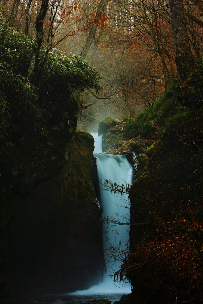 尊厳なる水景