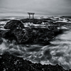 Torii