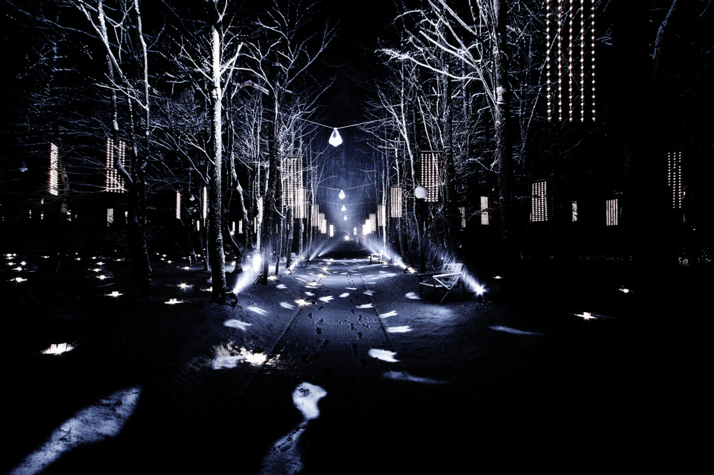 Road of lights