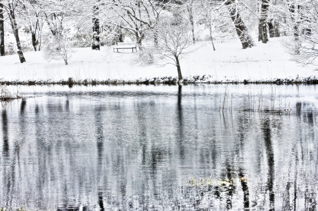 Natural Monochrome
