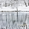 Natural Monochrome
