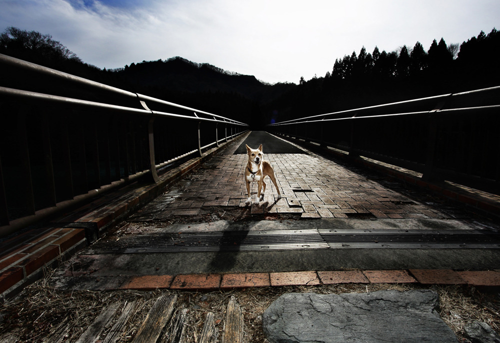 The portrait on the bridge #2